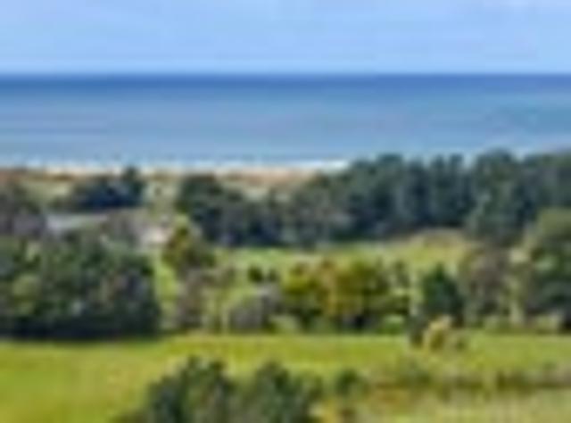 Land for sale in Opaki, Wellington