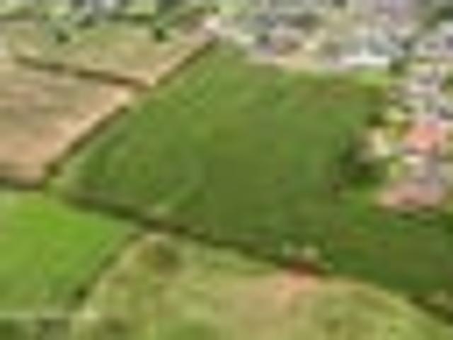 Land for sale in Tuakau, Waikato