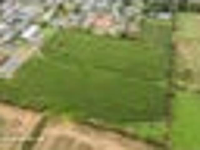 Land for sale in Tuakau, Waikato