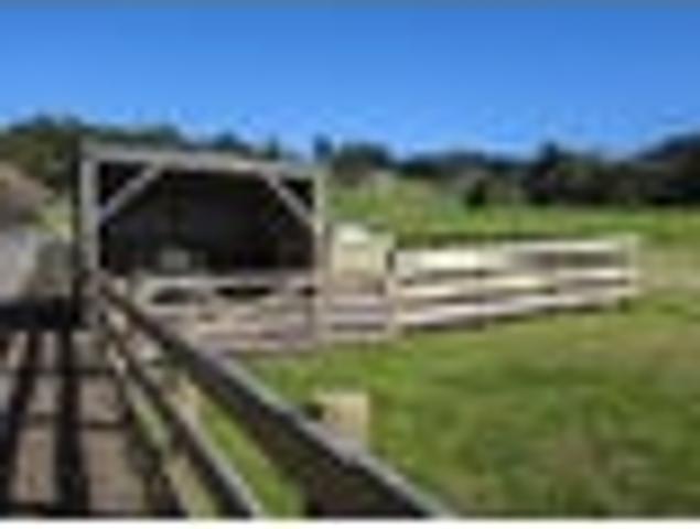 Land for sale in Whangarei, Northland
