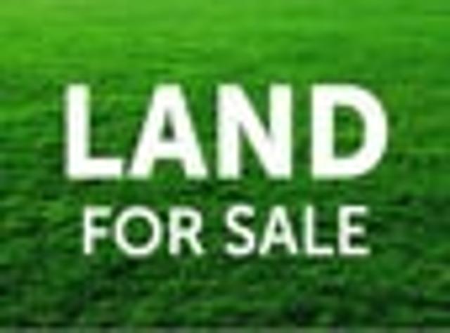 Land for sale in Waikato