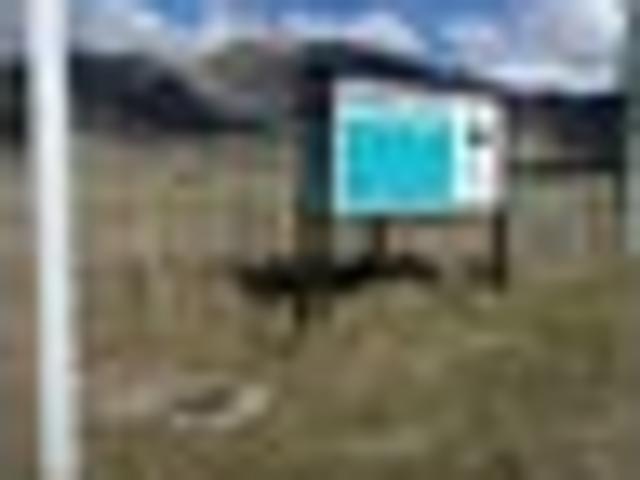 Land for sale in Omarama, Canterbury