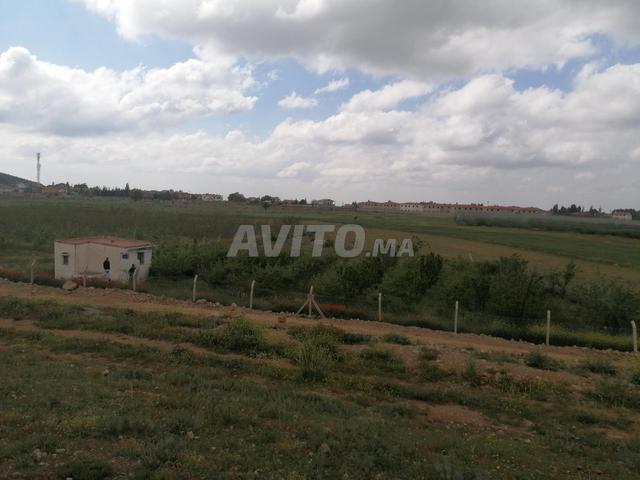 Propriété vente à Imouzzer Des Ida Ou Tanane, Oued ed Dahab-Lagouira