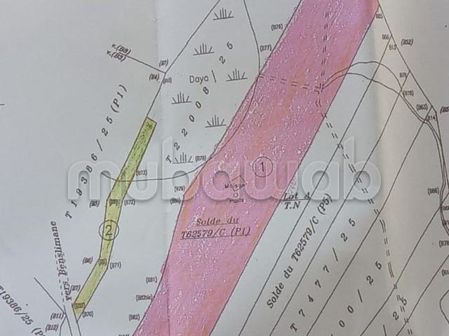 Ferme vente à Slimane, Gharb-Chrarda-Beni Hssen