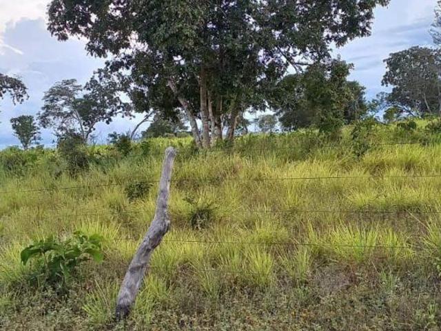 Sítio e chácara venda em Região Geográfica Imediata de São Francisco, São Romão