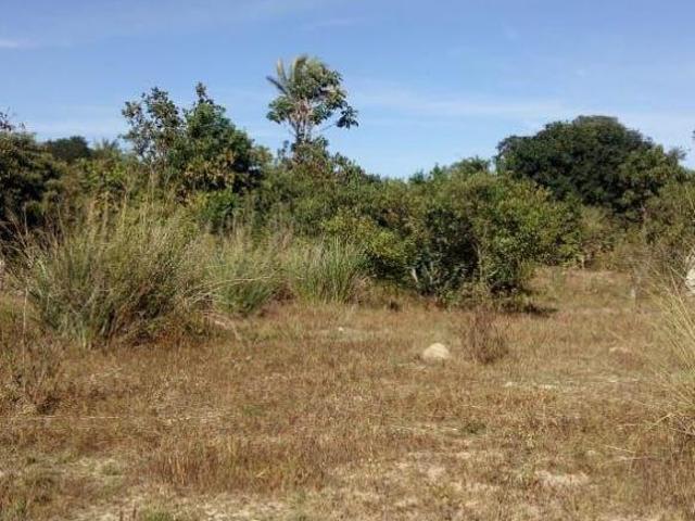 Sítio e chácara venda em Região Geográfica Imediata de São Francisco, São Romão