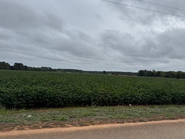 Land for sale in Wedgefield, South Carolina