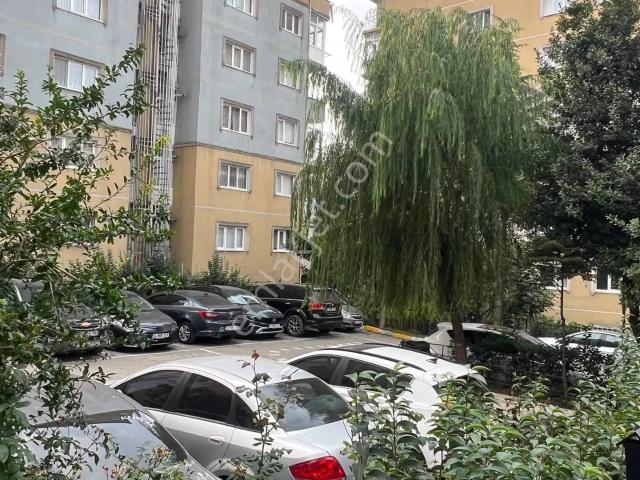 15 Temmuz Mahallesi, Bağcılar içerisinde kiralık mülk