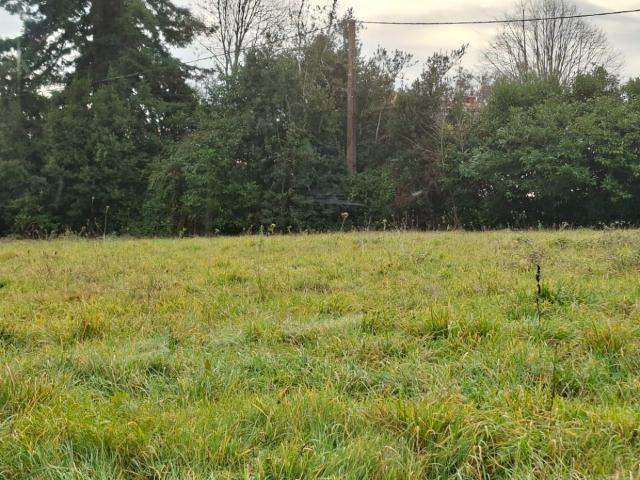 Terrain vente à Libourne, Tizac-de-lapouyade