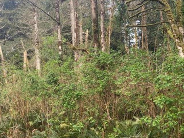 Land for sale in Oregonia