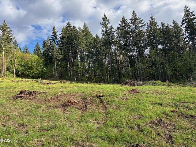 Land for sale in Oregonia