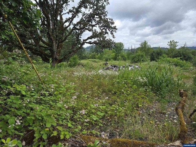 Land for sale in Oregonia