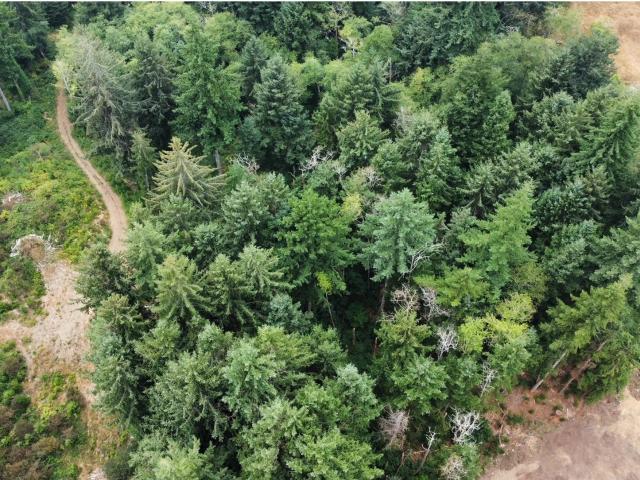 Land for sale in Dunes City, Lane County