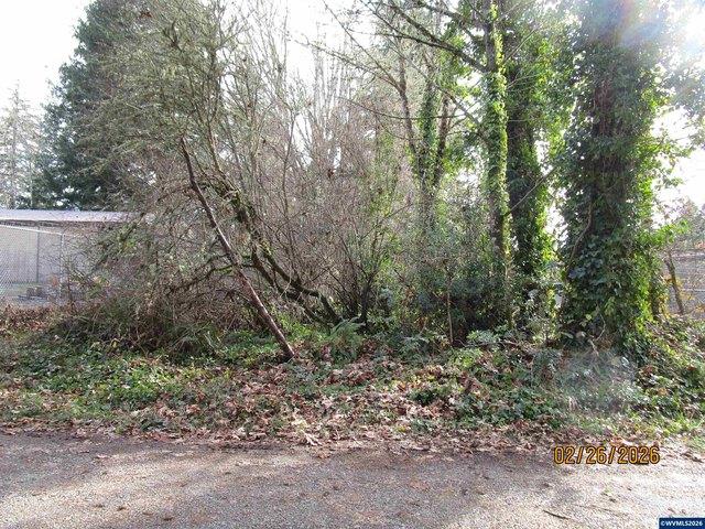 Land for sale in Sweet Home, Linn County
