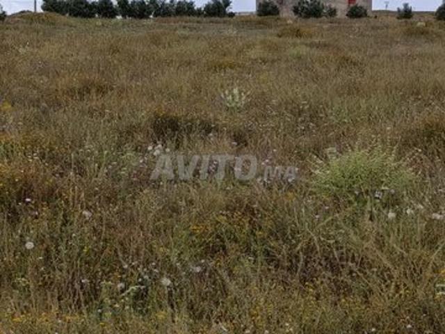 Propriété vente à Khouribga