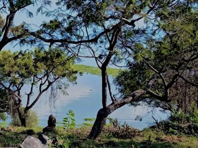Terreno en venta en Tlachichilco, Región Ciénega