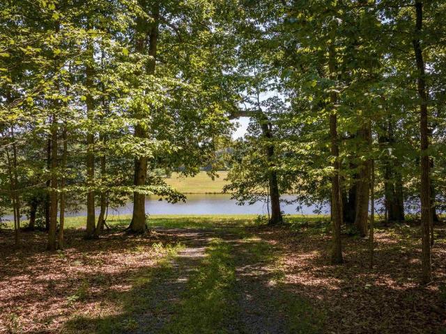 Land for sale in Virginia
