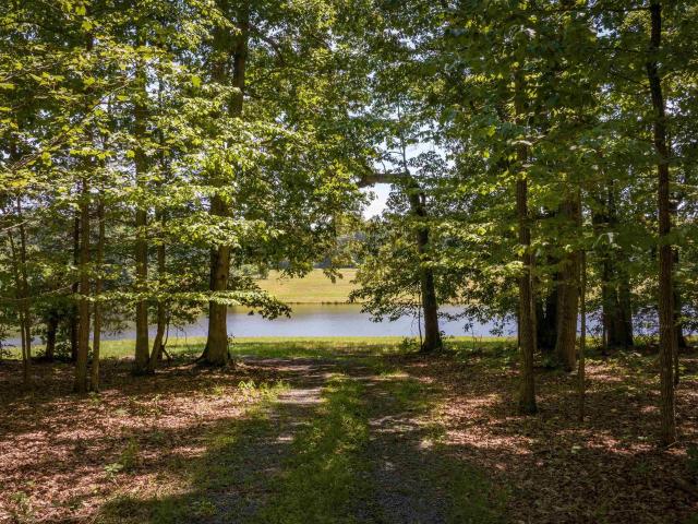 Land for sale in Virginia