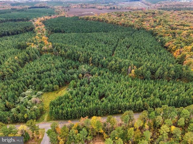 Land for sale in Lignum, Culpeper County