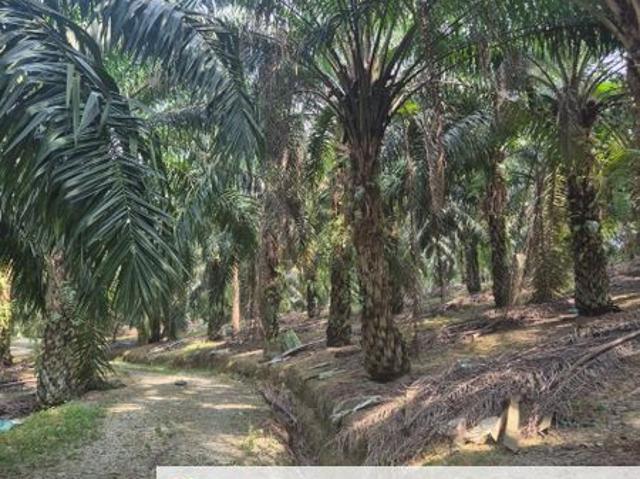 Shop for sale in Kota Tinggi, Johor