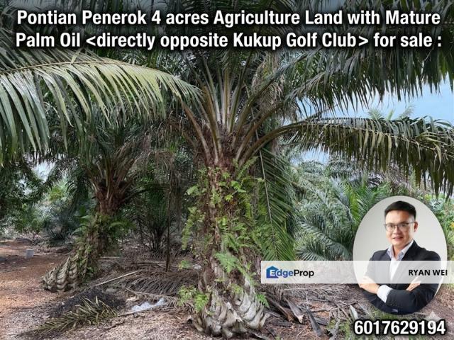 Warehouse for sale in Pontian, Johor