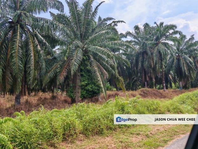 Shop for sale in Johor