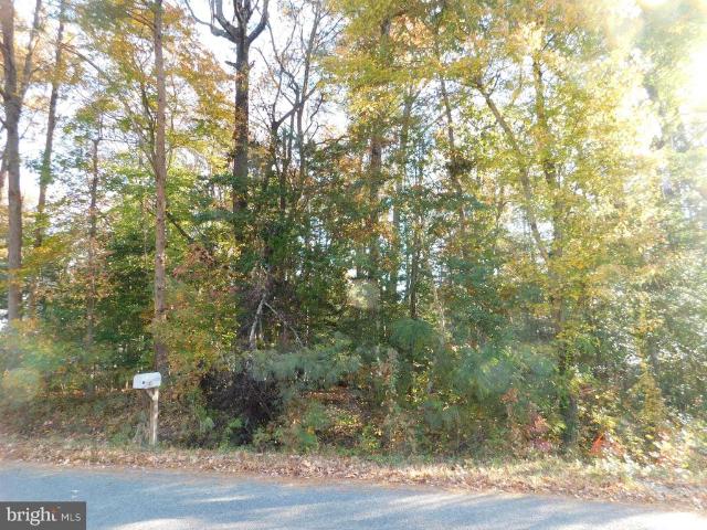 Land for sale in Virginia