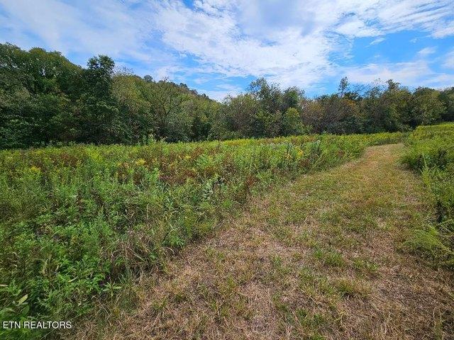 Land for sale in Tennessee