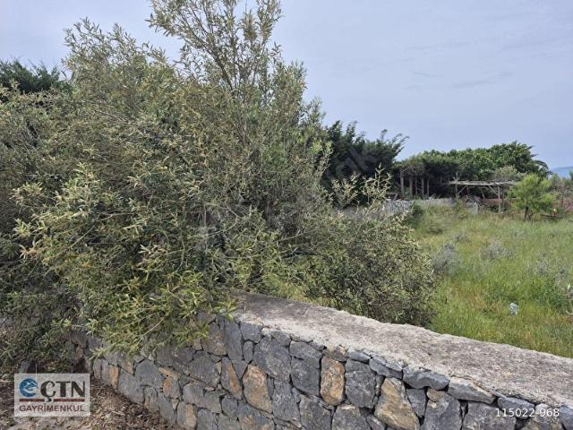 Çeşme, İzmir içerisinde satılık Dükkan