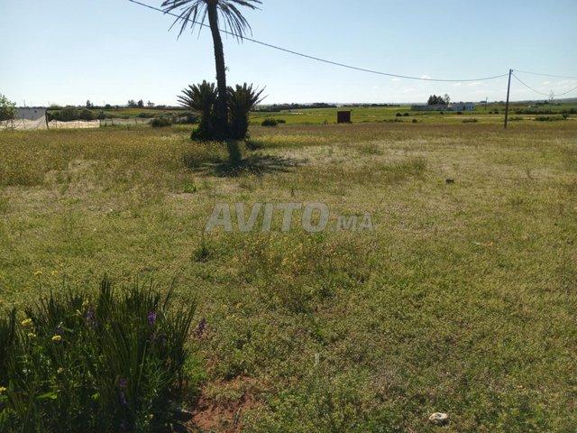 Propriété vente à El Ma, Gharb-Chrarda-Beni Hssen