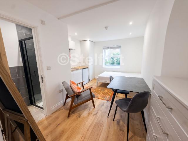 Studio for rent in Harringay Ladder, Greater London