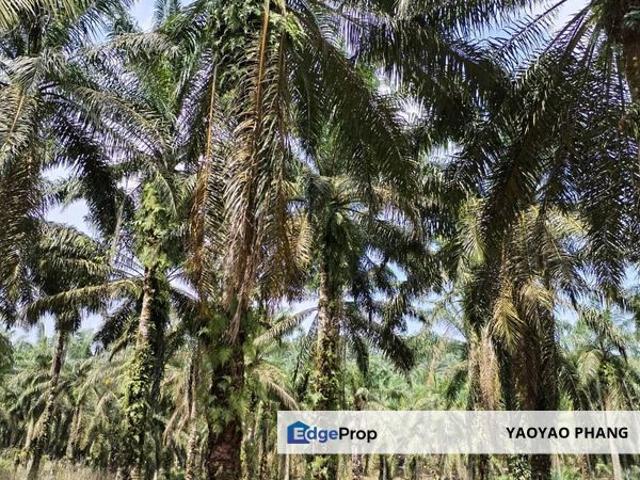 Shop for sale in Batu Pahat, Johor