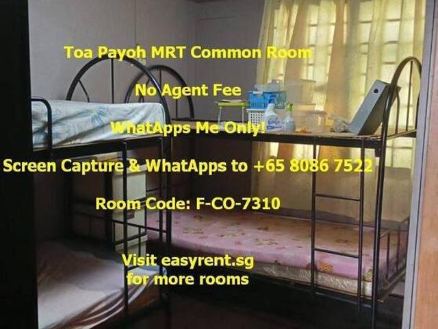 Room for rent