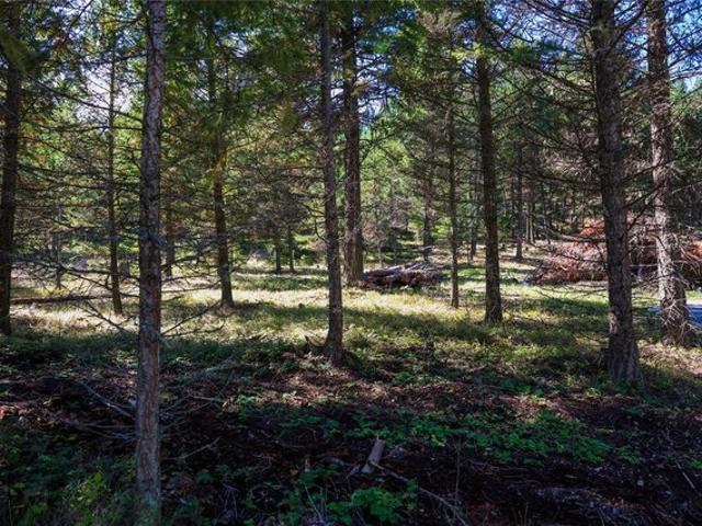 Land for sale in Eureka, Montana