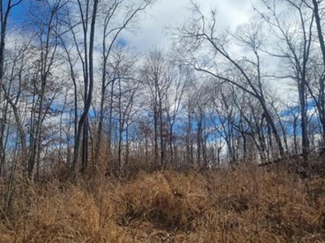 Land for sale in Tennessee