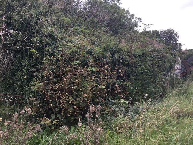 Farm for sale in Glinsk