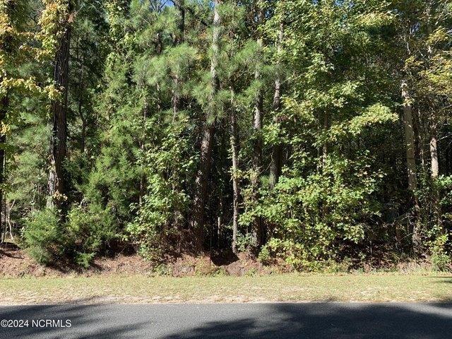 Land for sale in Bolivia, Brunswick County
