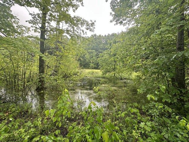 Land for sale in Elmira, Michigan