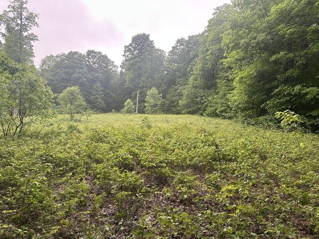 Land for sale in Elmira, Michigan