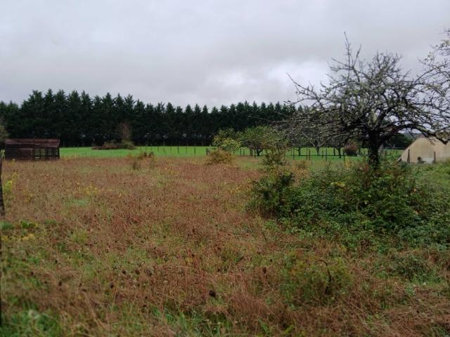 Maison vente à Périgueux, Tocane-saint-apre
