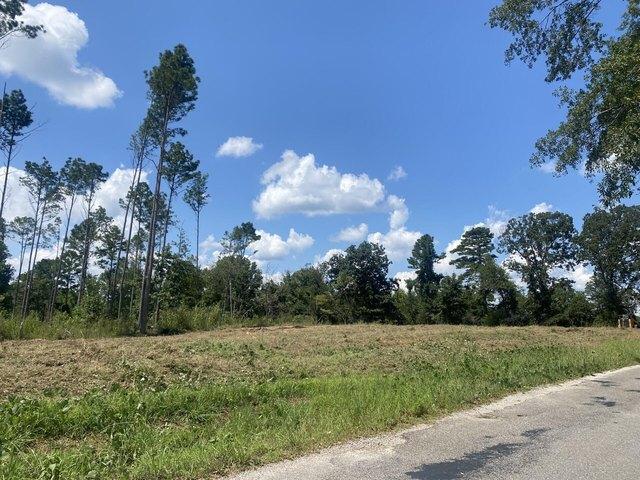 Land for sale in Pontotoc, Mississippi