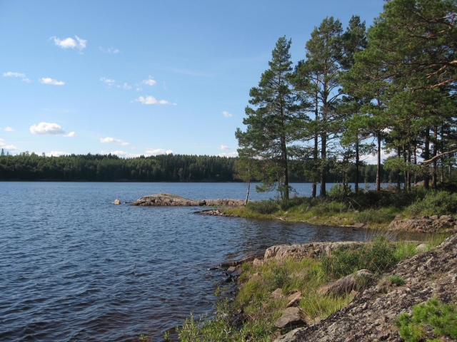 Hus till salu i Töcksfors, Värmland