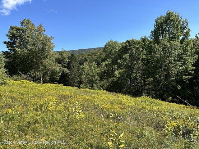 Land for sale in Arkville, New York