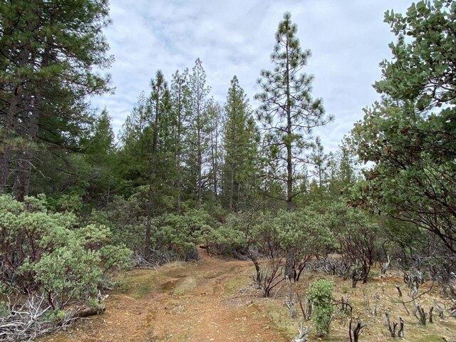 Land for sale in Foresthill Land for sale in Foresthill