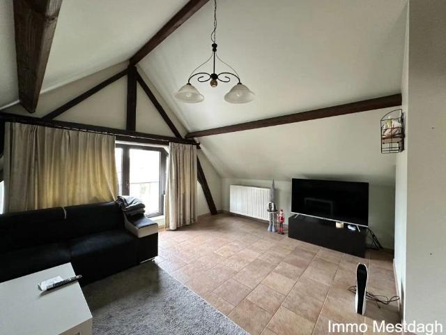 Appartement location à Diest, Brabant