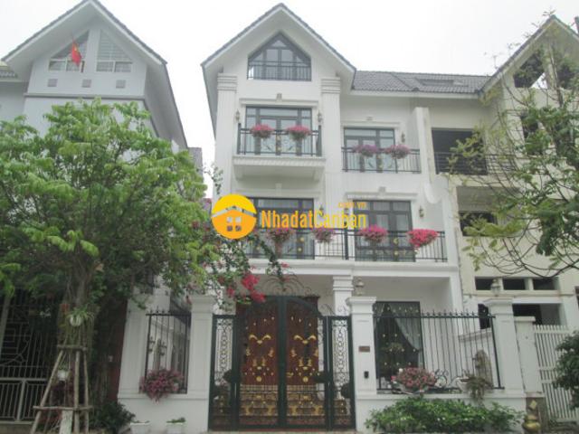 Biệt Thự bán