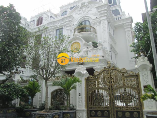 Biệt Thự bán
