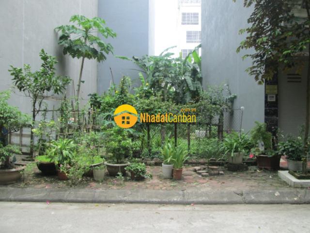 Mặt bằng bán