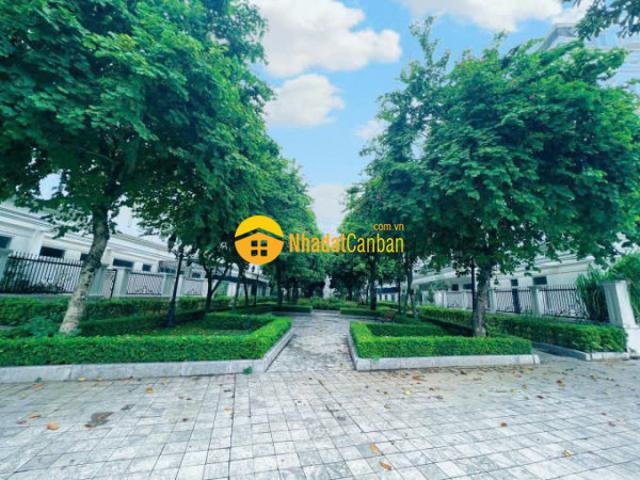 Biệt Thự bán