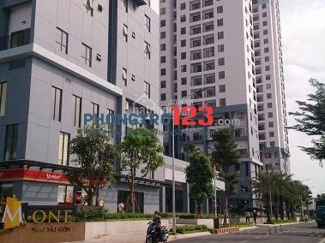 Bất động sản cho thuê tại Hồ Chí Minh